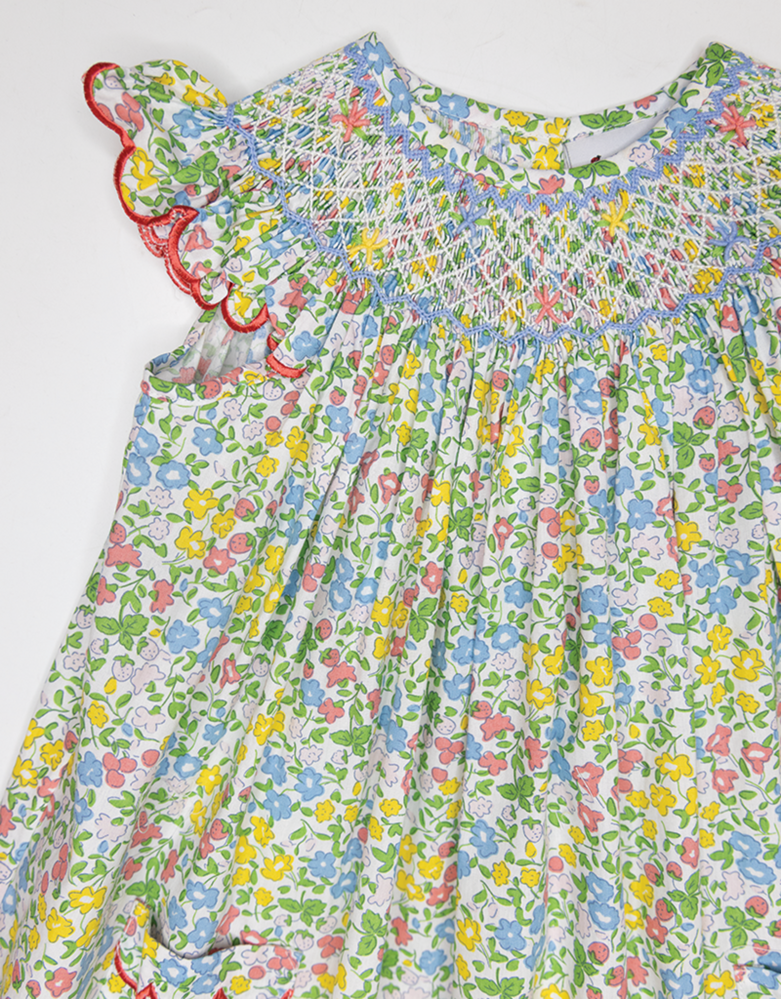 Delaney 37 Multi Floral Smocked Bishop Dress