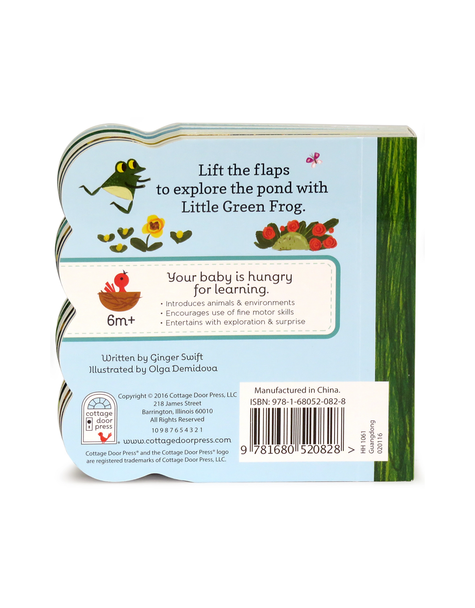 Cottage Door Press Little Green Frog Chunky Lift-a Flap Board book