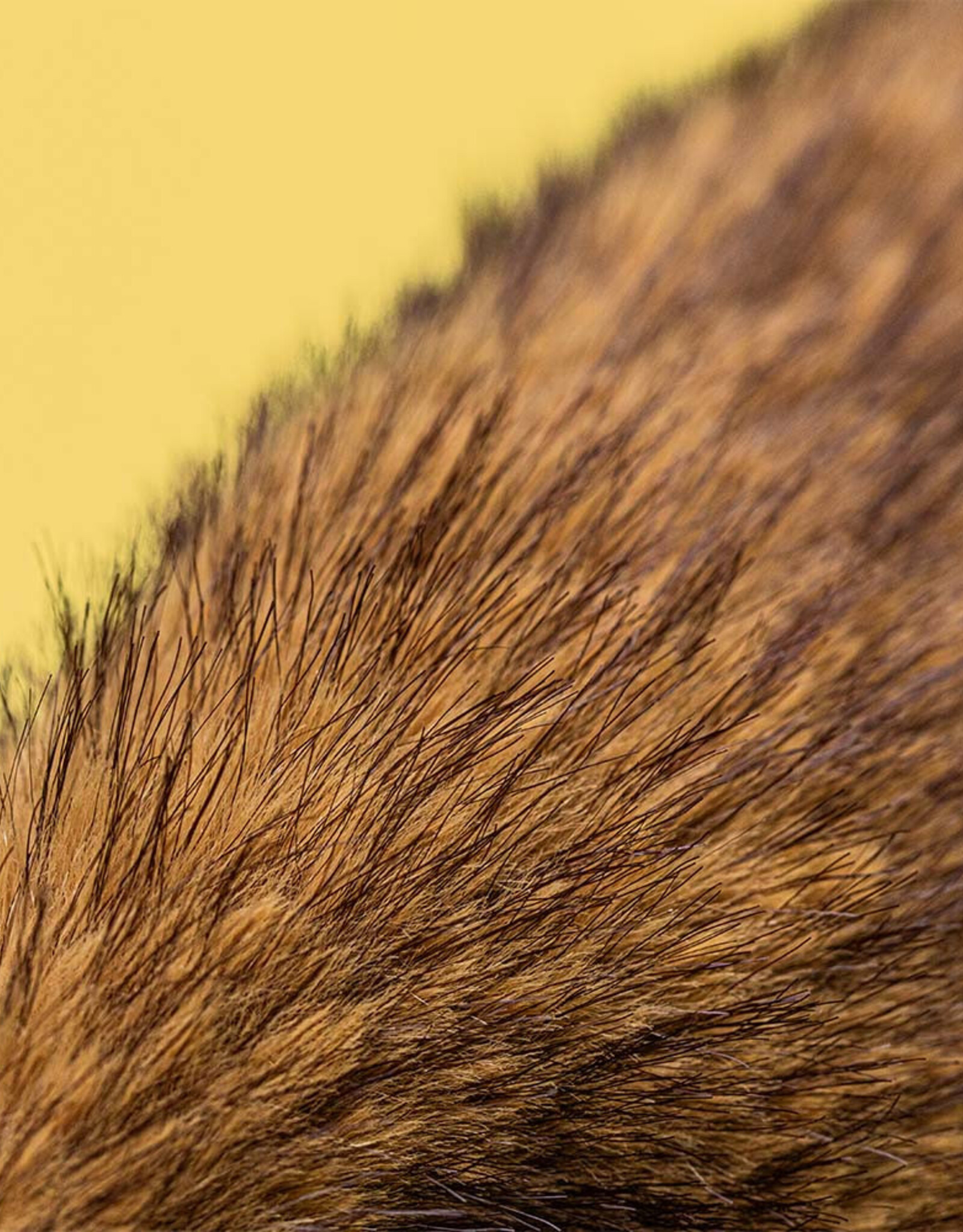 Jellycat Hoppleston Luxe Bunny Original