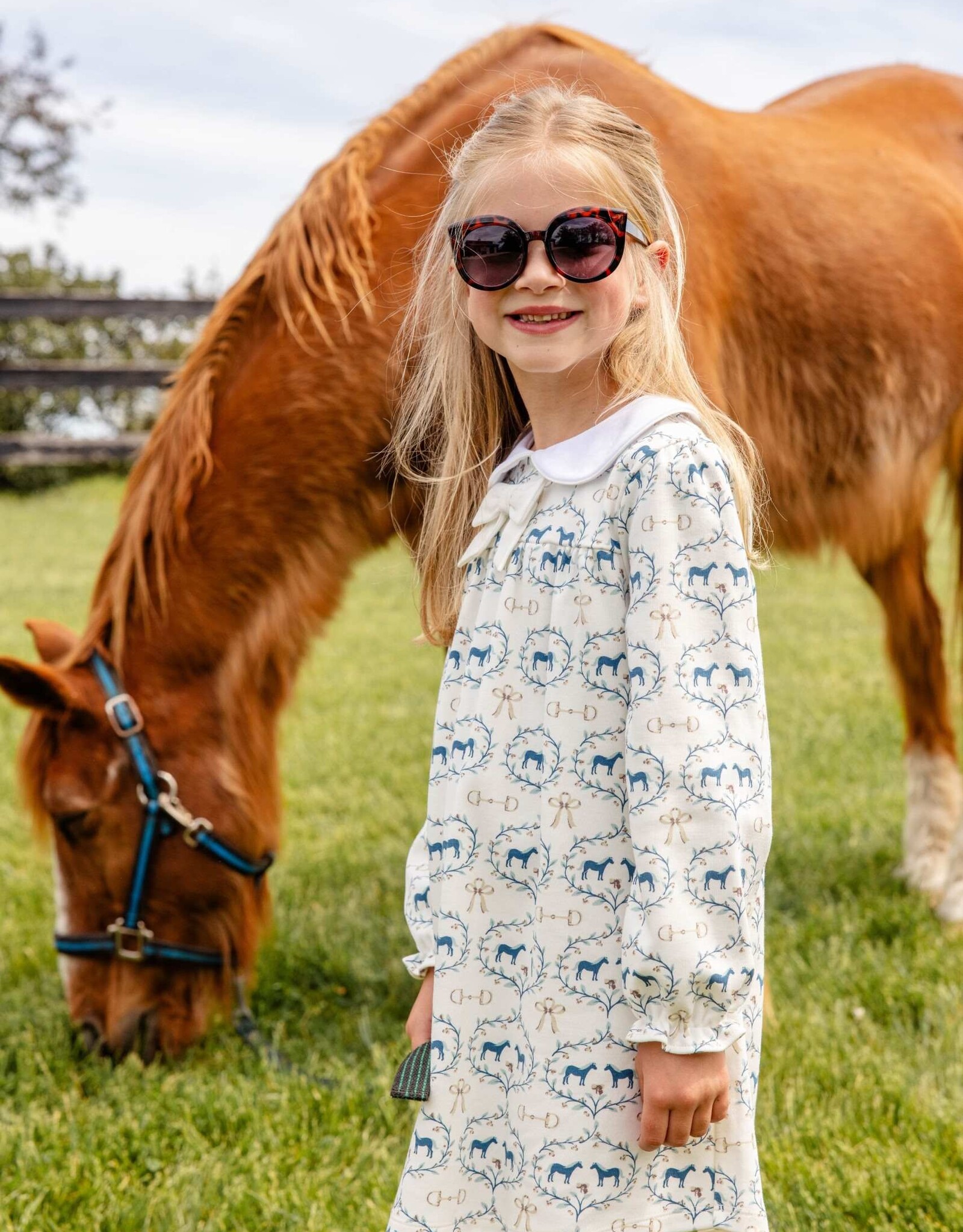 TBBC Banks Bow Dress Horse Bits and Bows