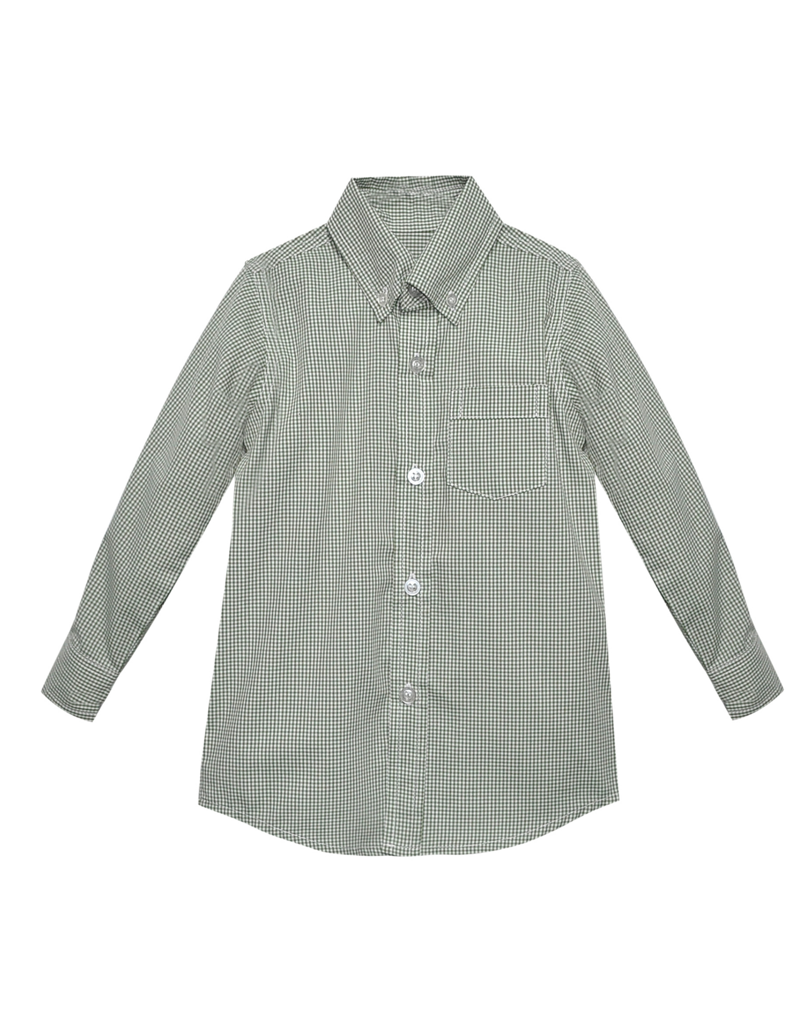 Remember Nguyen 2012 ABSHT Sage Gingham Button Down Shirt