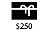 NYC Velo Gift Certificate $250.00