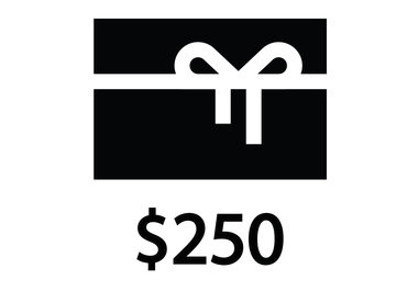 NYC Velo Gift Certificate $250.00