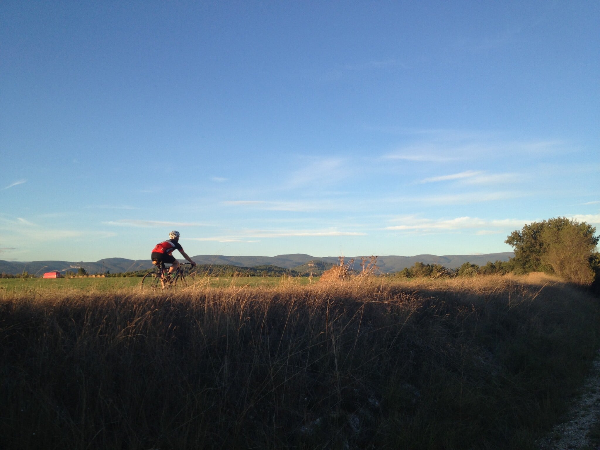 NYC Velo Rentals