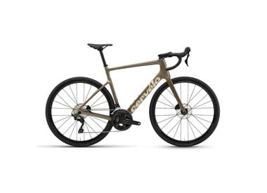 Cervelo Caledonia 105 2026
