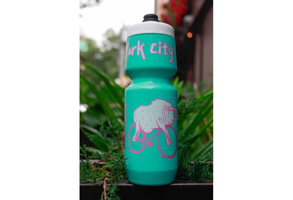 Jeremy Fish Teal/Pink/White Purist Bottle 26oz