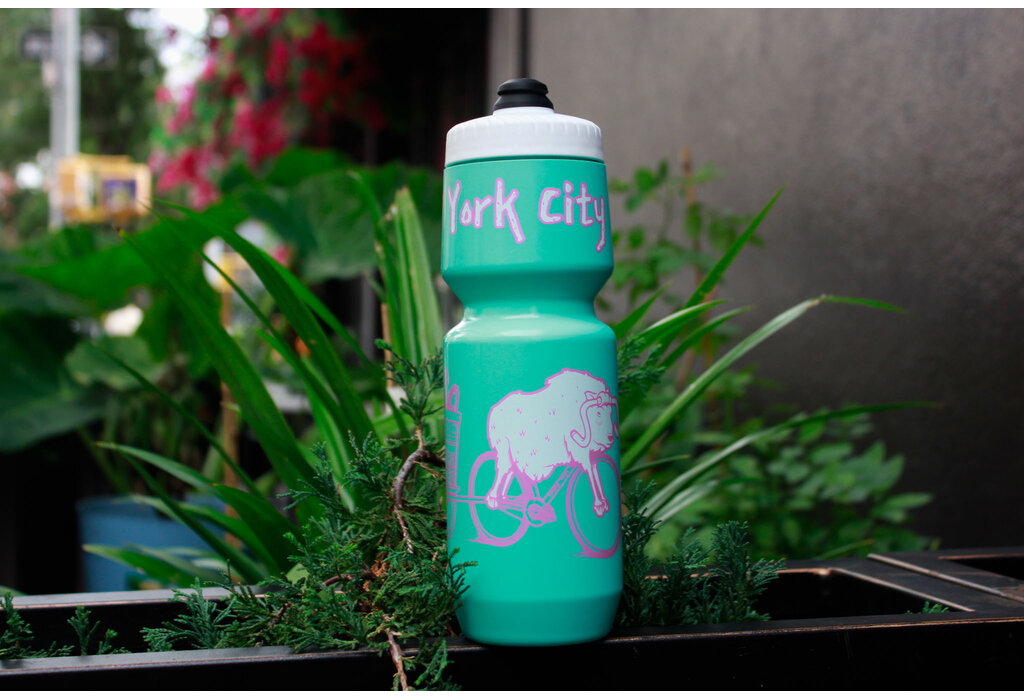 Jeremy Fish Teal/Pink/White Purist Bottle 26oz