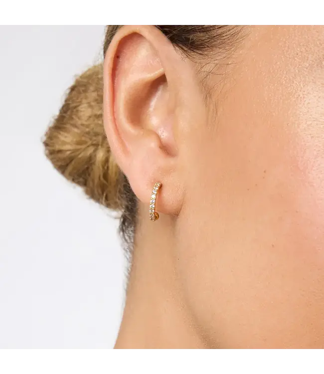 Laurel Hoop & Charm Earring-Cubic Zirconia-OS