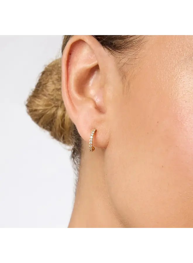 Laurel Hoop & Charm Earring-Cubic Zirconia-OS