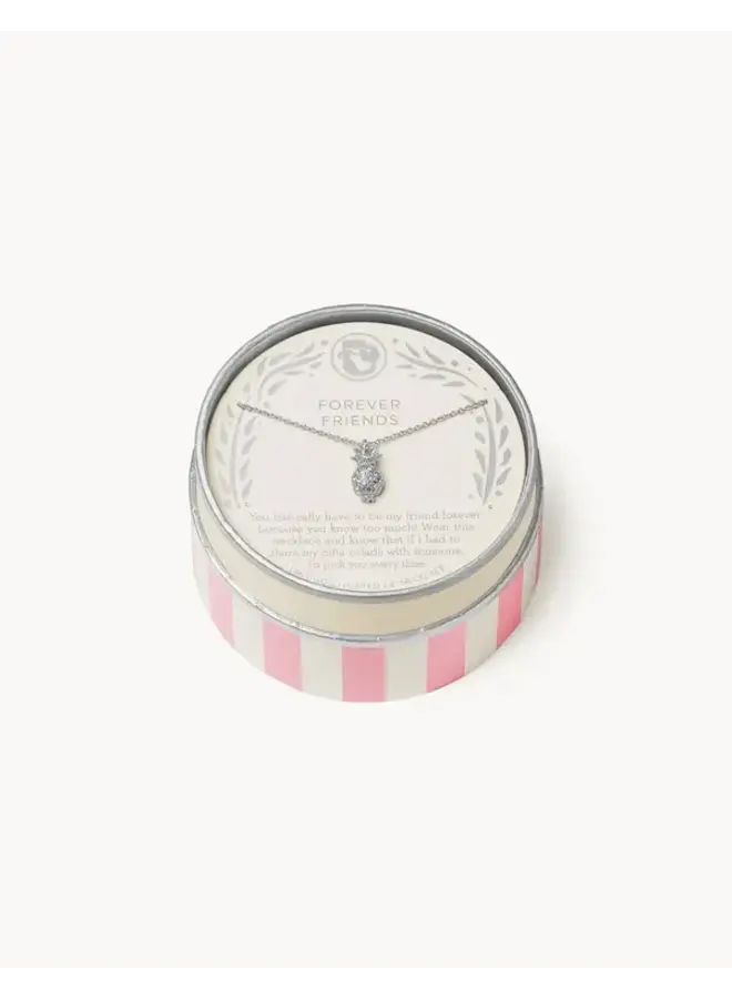 SLV CELEBRATE NECKLACE 18" FOREVER FRIENDS/PINA COLADA SIL