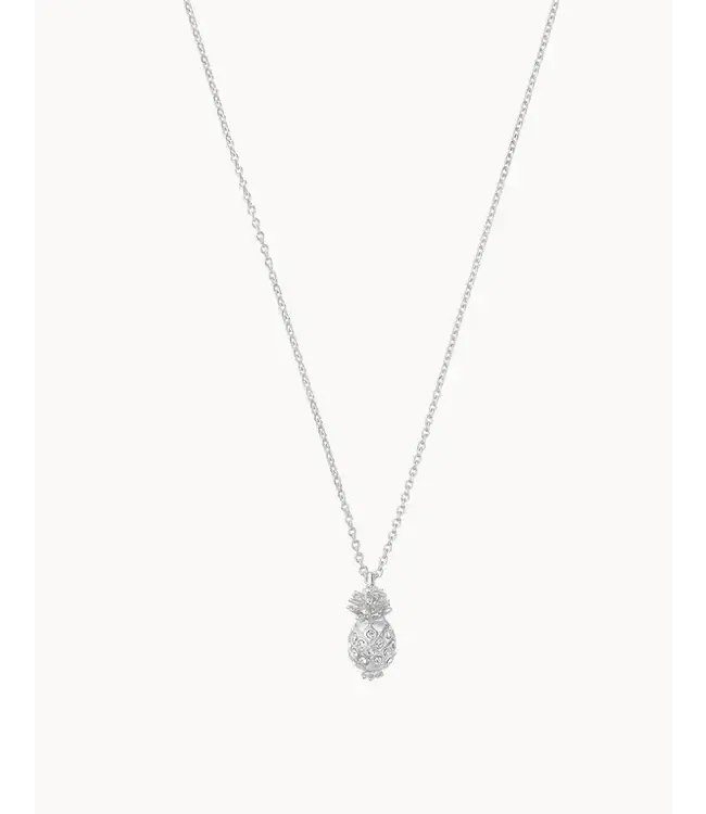 SLV CELEBRATE NECKLACE 18" FOREVER FRIENDS/PINA COLADA SIL