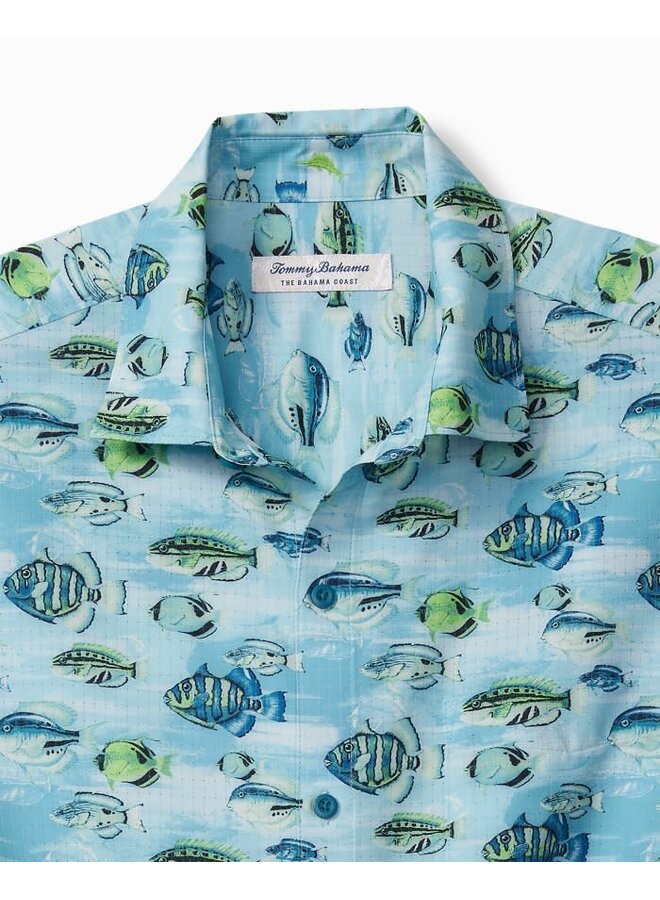 BAHAMA COAST FINTASTIC