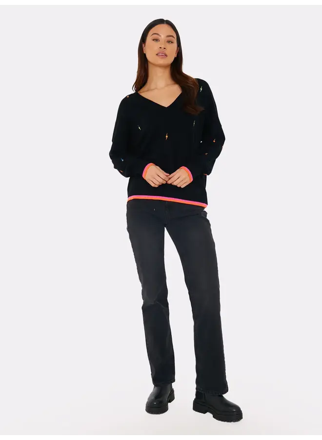 ELECTRIC EMBROIDERY V NECK SWEATER