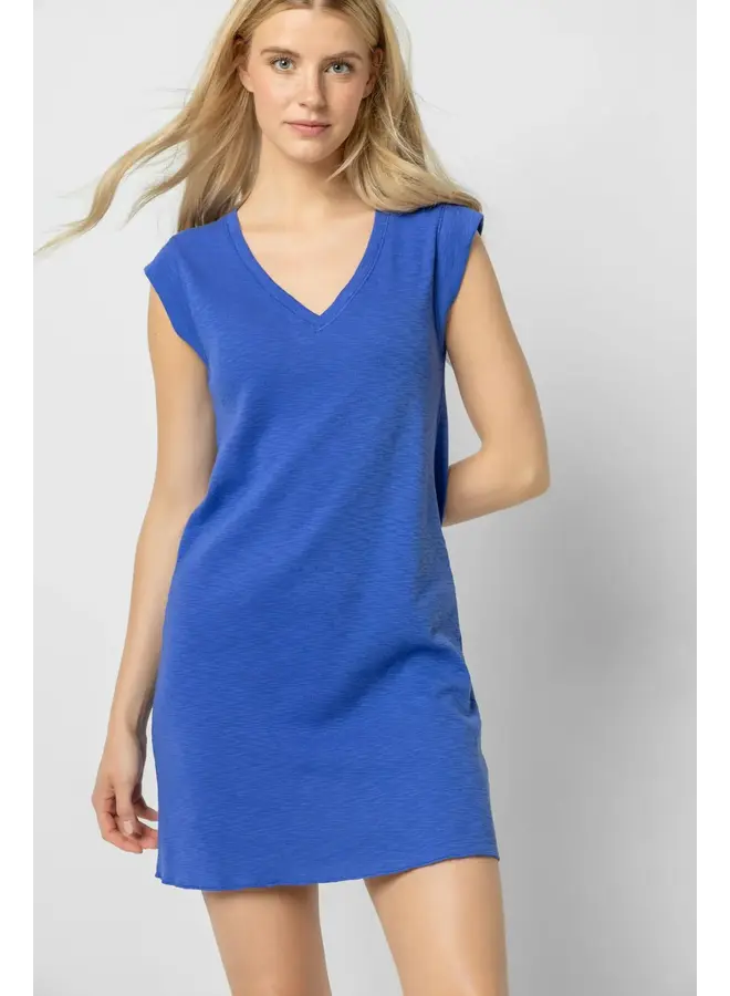 CAP SLEEVE V-NECK DRESS