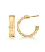 Cleopatra Classic Medium Hoop Earrings - Gold