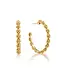 Berry  Icon Medium Hoop Earrings - Gold