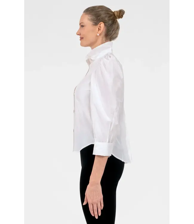 Puff The Magic Dragon Silk Blouse