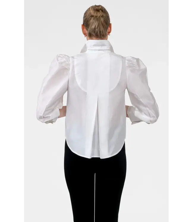 Puff The Magic Dragon Silk Blouse