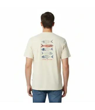 Tommy Bahama SARDINA SOIREE TEE