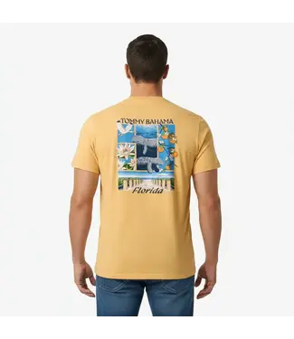 Tommy Bahama TROPIC BLOCK TEE