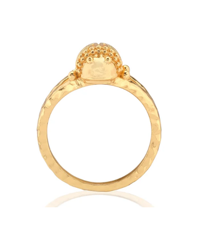 Scarab Gilded Ring, Size 7 - Gold