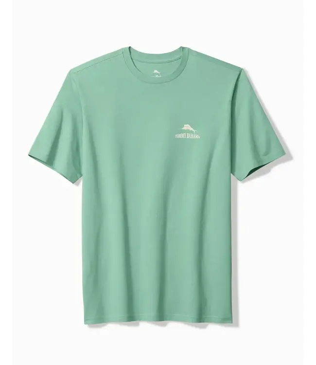 HAIL MERRY TEE