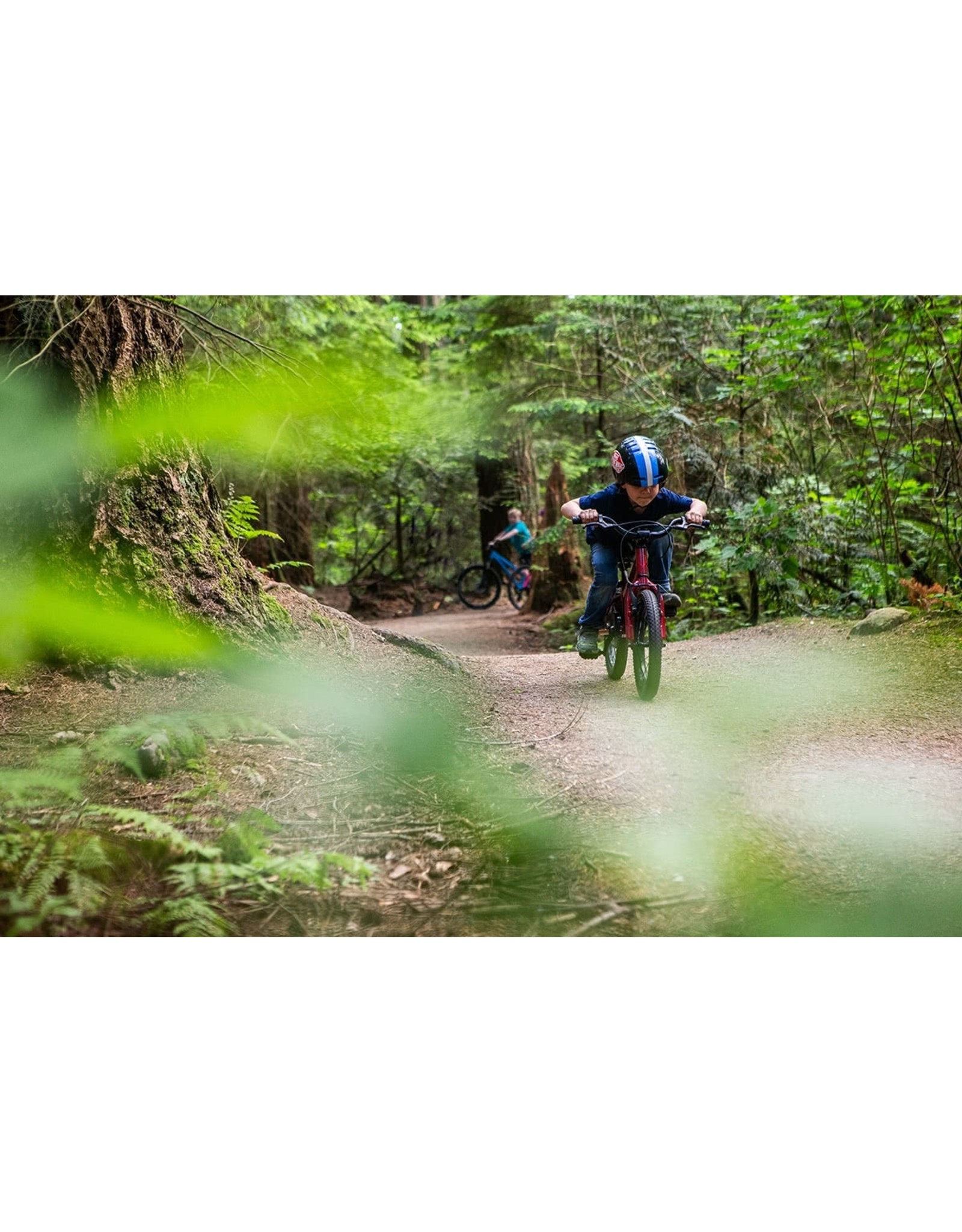norco roller 16