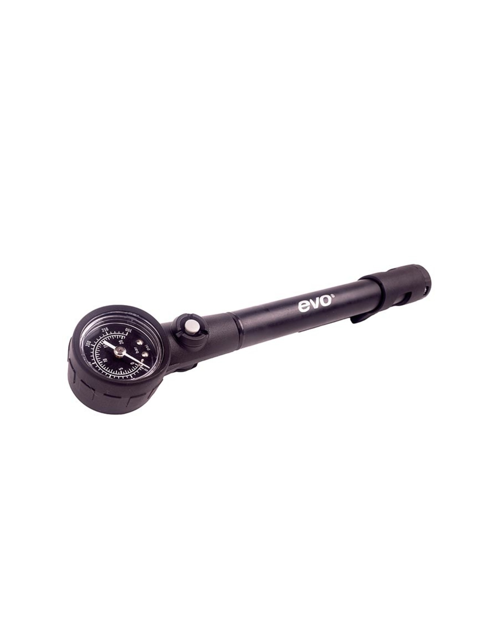 EVO EVO Storm Fork and Shock Pump Thread