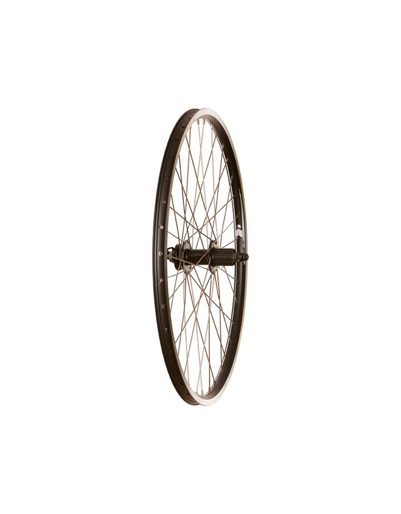 WHEEL SHOP Wheel Shop, Evo Tour 19 Black,  26 Rear Wheel '' / 559, Holes: 36, QR, 135mm, Rim and Disc IS 6-bolt, Shimano HG