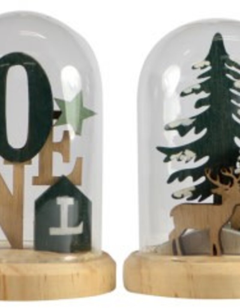 Glass Cloche - 10 x 14cm