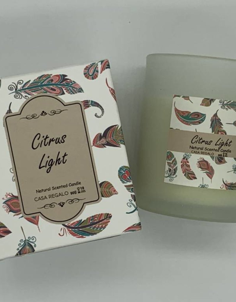 Casa Regalo 90g Frosted Glass Candle