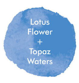 Diffuser - Lotus Flower and Topaz Waters - Concrete Top - 125ml