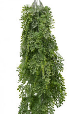 Small Leaf Hanging Bush - 104cm