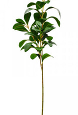 Azalia Foliage - 69cm
