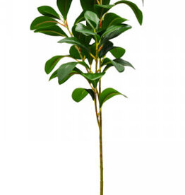 Azalia Foliage - 69cm