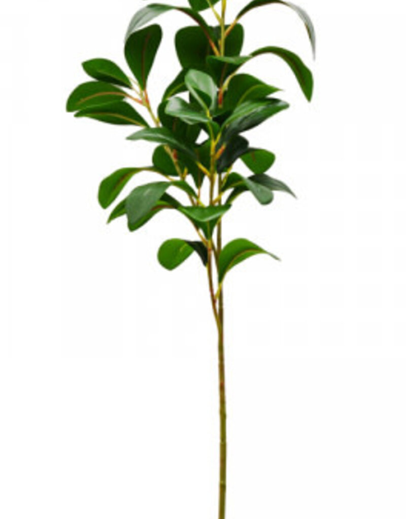 Azalia Foliage - 69cm