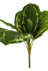 Golden Pothos Bunch - 64cm