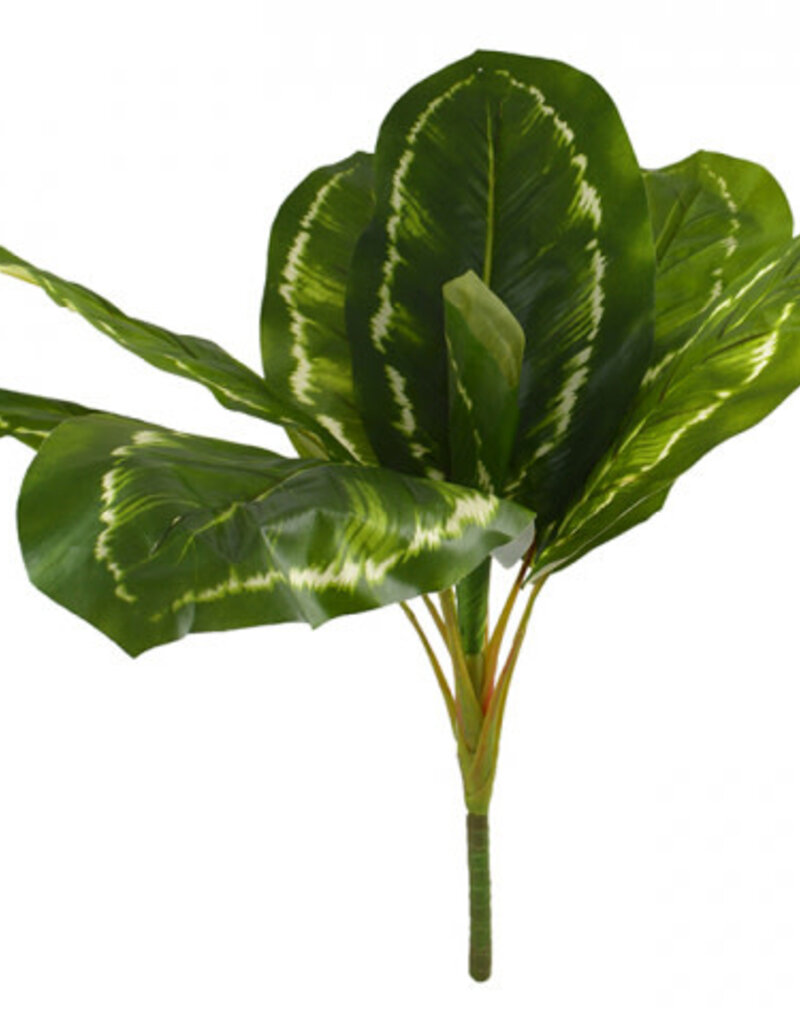 Golden Pothos Bunch - 64cm