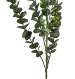 Eucalytpus Branch Spray - 88cm