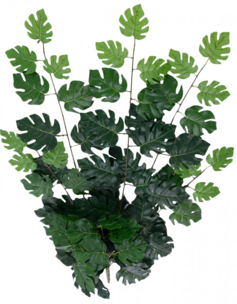 Monsteria Leaf Hanging Bunch - 93cm