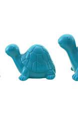 Turtles Set 3  Turq
