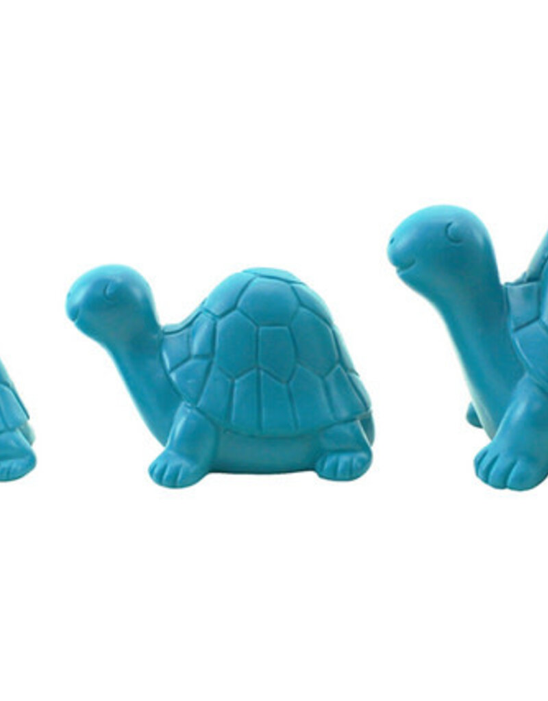 Turtles Set 3  Turq