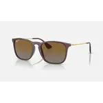 Ray-Ban Chris Transparent Brown