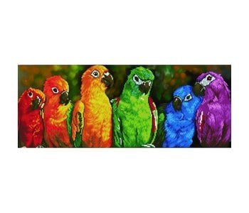 Dotz - Rainbow Parrots