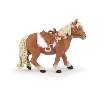 Shetland pony with saddle