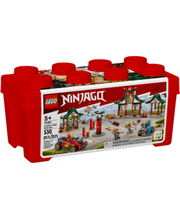 Boîte de briques créative Ninja