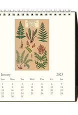 Cavallini Cavallini 2022 Desk Calendar
