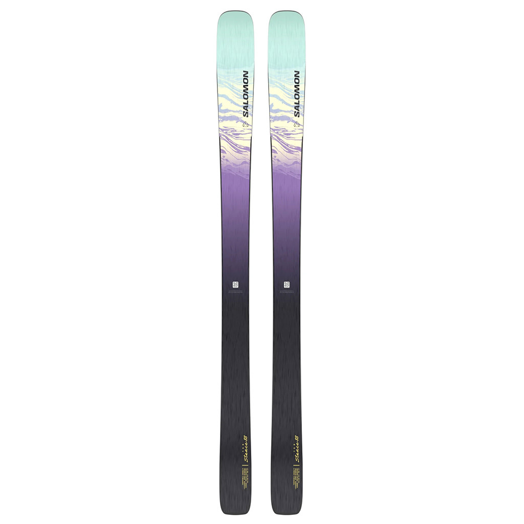 SALOMON アルペンスキーセット 25.5 SALOMON アルペンスキーセット 25.5