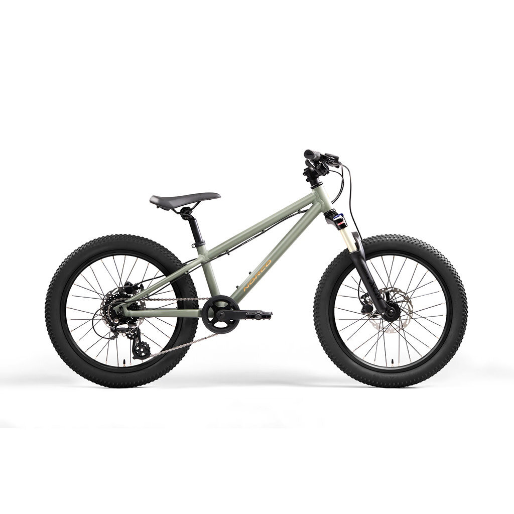 Norco Norco Charger Youth 20"