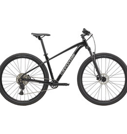 Cannondale Cannondale Trail 2